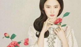 娱乐圈刘亦菲天涯爆料图片,娱乐圈真相再掀波澜