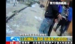 抓马经历爆料视频大全,揭秘热门爆料视频背后的精彩故事